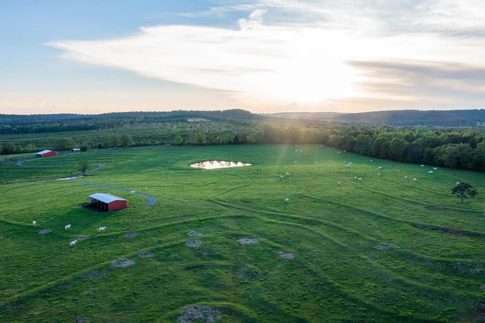 Featured Image for 25 Ways to Make Your Land a Profitable Commodity